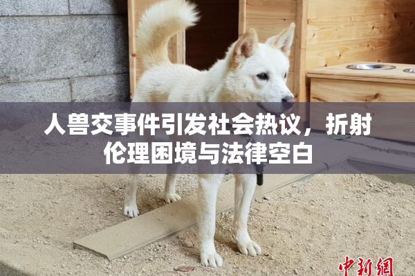 人兽交事件引发社会热议，折射伦理困境与法律空白