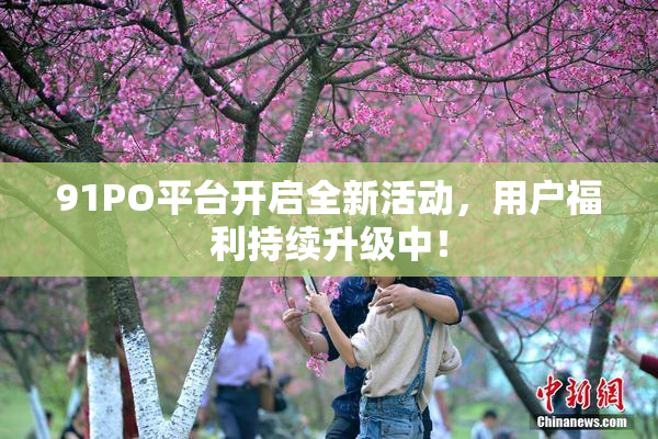 91PO平台开启全新活动，用户福利持续升级中！