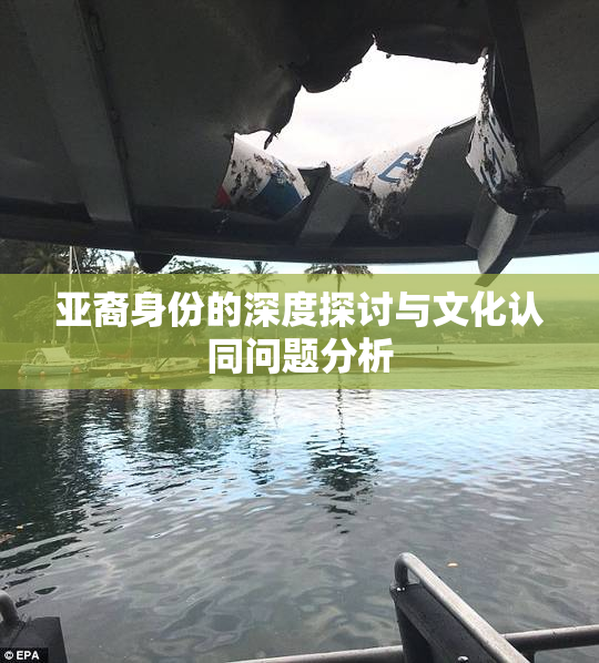 亚裔身份的深度探讨与文化认同问题分析