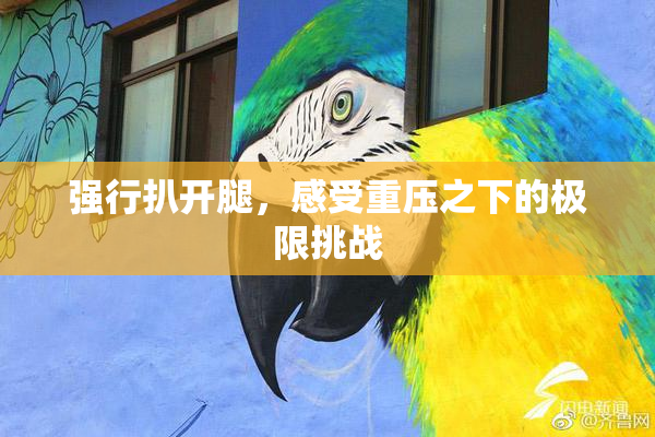 强行扒开腿，感受重压之下的极限挑战