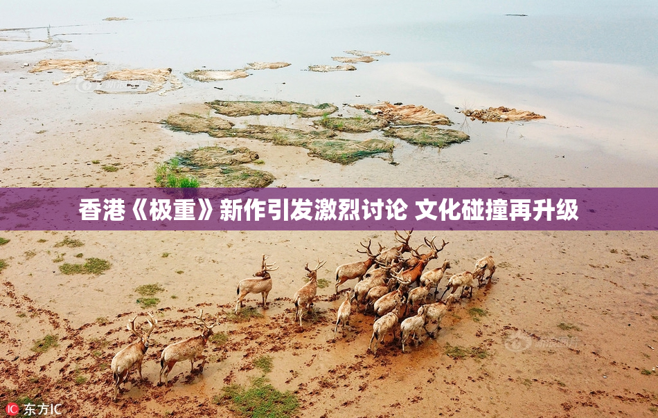 香港《极重》新作引发激烈讨论 文化碰撞再升级
