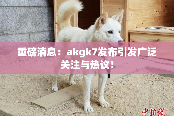 重磅消息：akgk7发布引发广泛关注与热议！