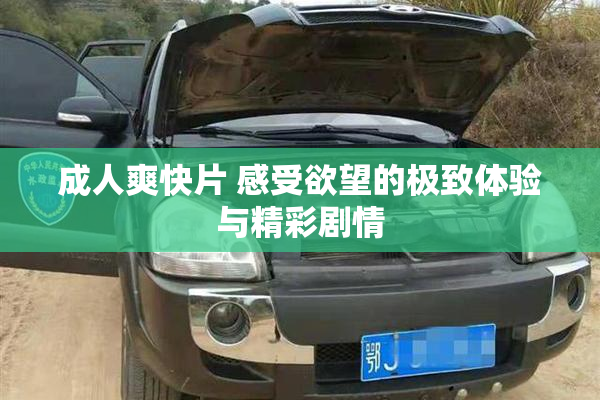 成人爽快片 感受欲望的极致体验与精彩剧情