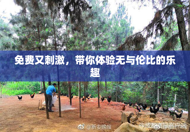 免费又刺激，带你体验无与伦比的乐趣