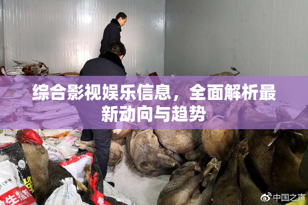 综合影视娱乐信息，全面解析最新动向与趋势