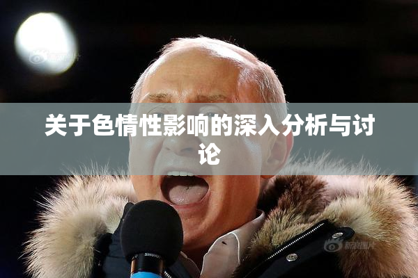 关于色情性影响的深入分析与讨论