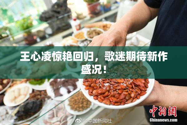 王心凌惊艳回归，歌迷期待新作盛况！