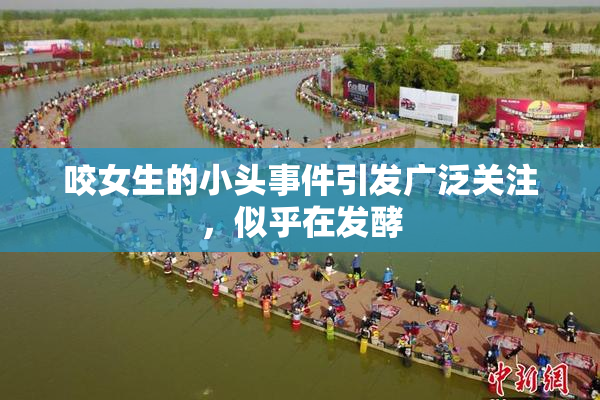 咬女生的小头事件引发广泛关注，似乎在发酵
