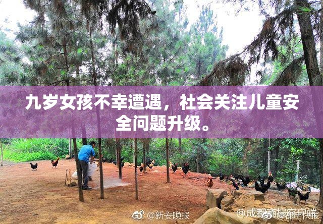 九岁女孩不幸遭遇，社会关注儿童安全问题升级。