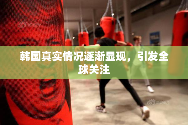 韩国真实情况逐渐显现，引发全球关注