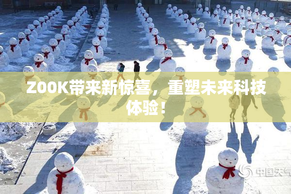 Z00K带来新惊喜，重塑未来科技体验！