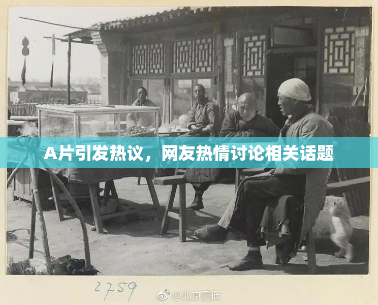 A片引发热议，网友热情讨论相关话题