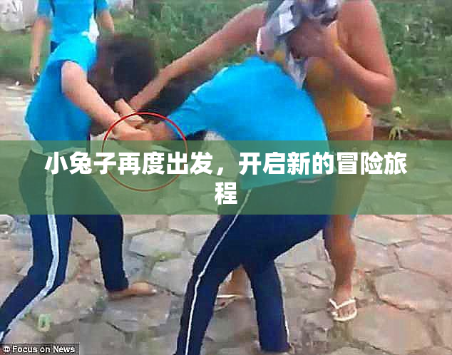 小兔子再度出发，开启新的冒险旅程
