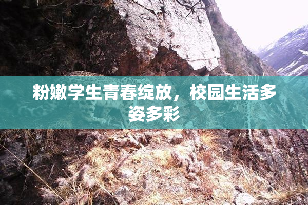 粉嫩学生青春绽放，校园生活多姿多彩