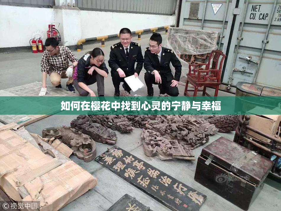 如何在樱花中找到心灵的宁静与幸福