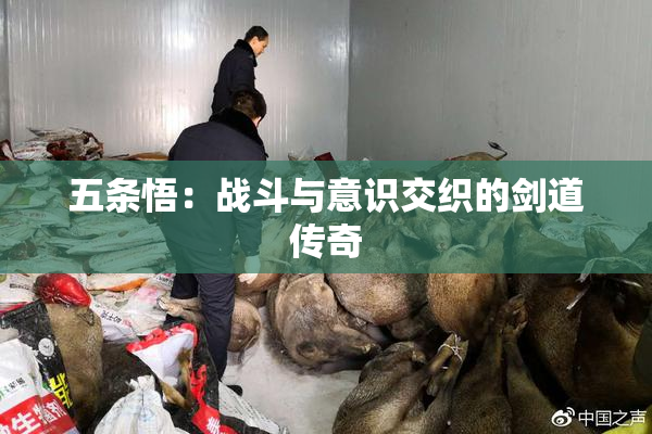 五条悟：战斗与意识交织的剑道传奇