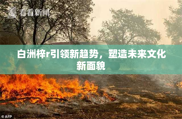 白洲梓r引领新趋势，塑造未来文化新面貌