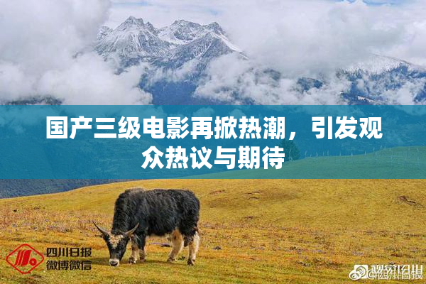 国产三级电影再掀热潮，引发观众热议与期待