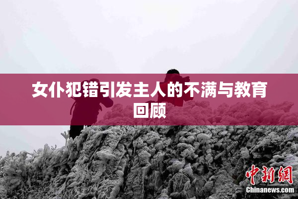 女仆犯错引发主人的不满与教育回顾