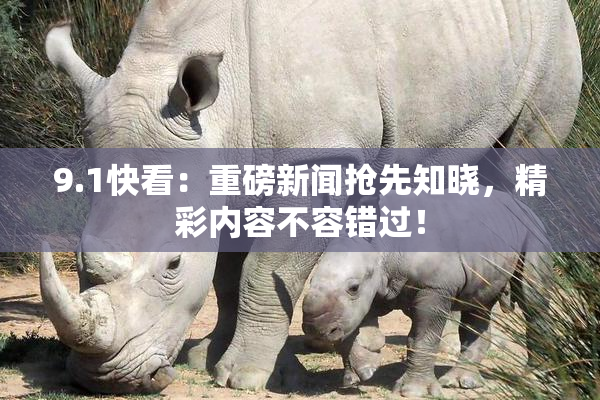 9.1快看：重磅新闻抢先知晓，精彩内容不容错过！