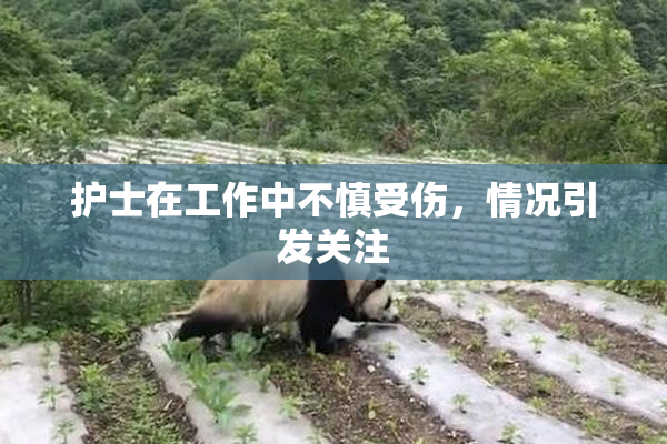 护士在工作中不慎受伤，情况引发关注