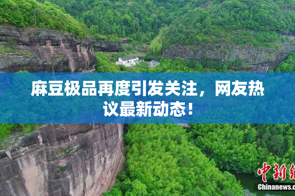 麻豆极品再度引发关注，网友热议最新动态！