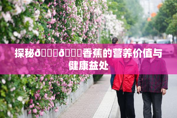 探秘🔞🔞香蕉的营养价值与健康益处