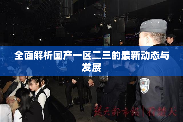 全面解析国产一区二三的最新动态与发展