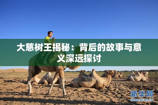 大慈树王揭秘：背后的故事与意义深远探讨