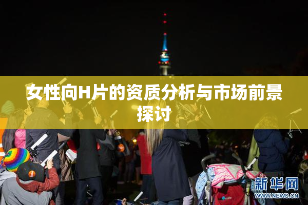 女性向H片的资质分析与市场前景探讨