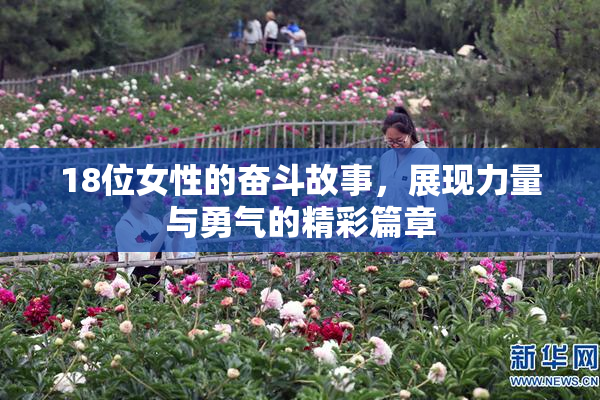 18位女性的奋斗故事，展现力量与勇气的精彩篇章