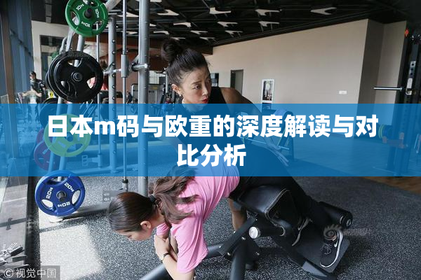 日本m码与欧重的深度解读与对比分析