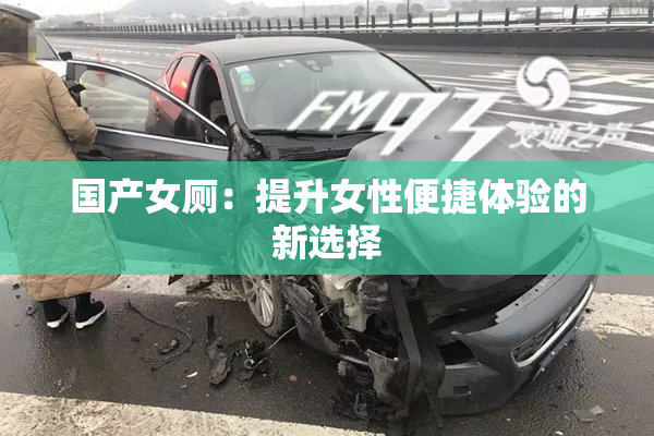 国产女厕：提升女性便捷体验的新选择
