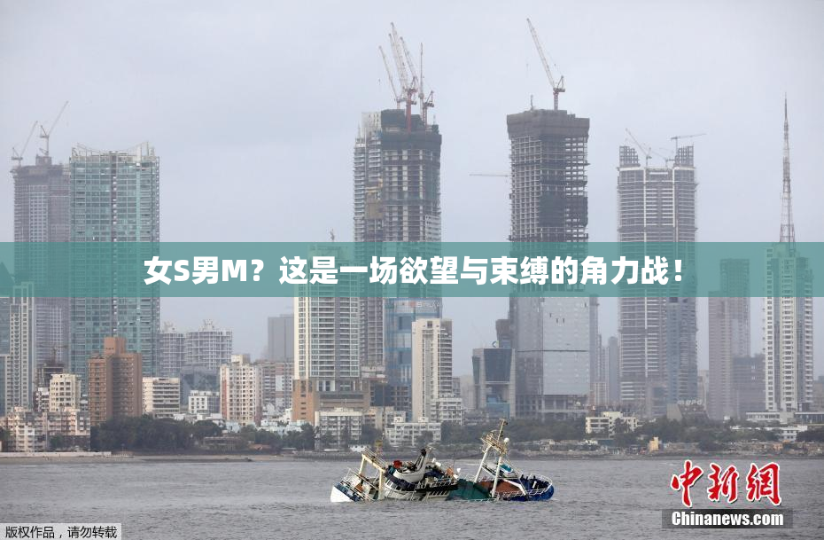 女S男M？这是一场欲望与束缚的角力战！