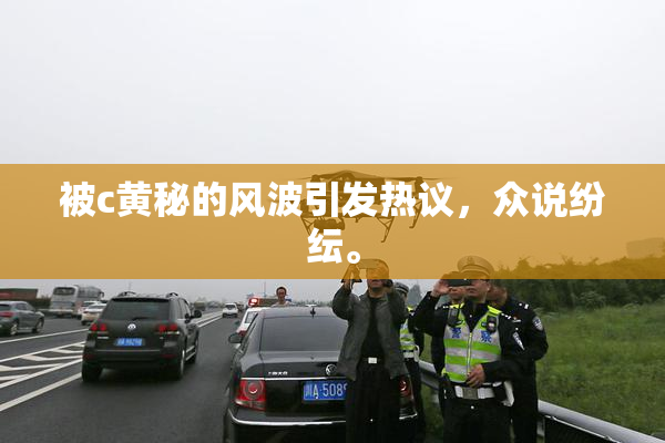 被c黄秘的风波引发热议，众说纷纭。