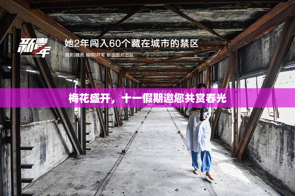 梅花盛开，十一假期邀您共赏春光
