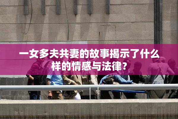 一女多夫共妻的故事揭示了什么样的情感与法律？