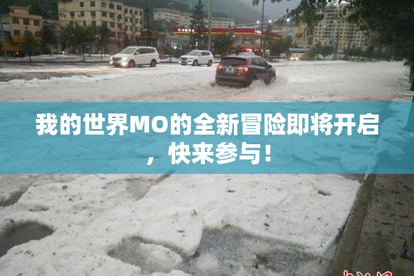 我的世界MO的全新冒险即将开启，快来参与！