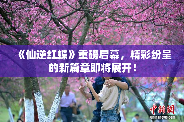 《仙逆红蝶》重磅启幕，精彩纷呈的新篇章即将展开！
