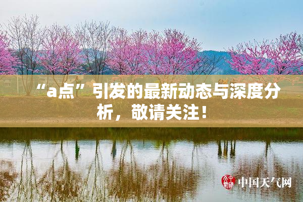 “a点”引发的最新动态与深度分析，敬请关注！