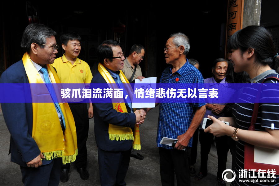 骇爪泪流满面，情绪悲伤无以言表