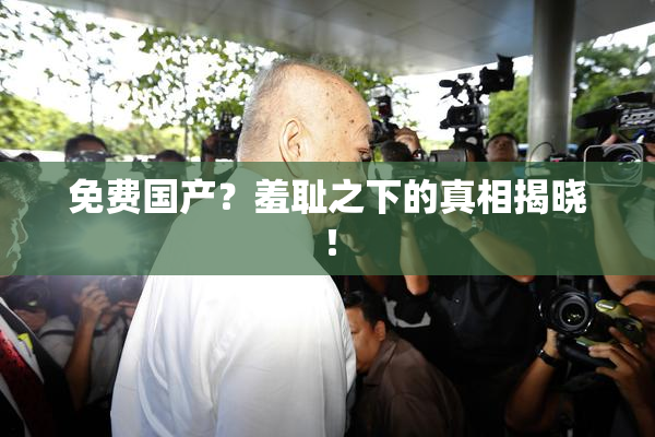 免费国产？羞耻之下的真相揭晓！