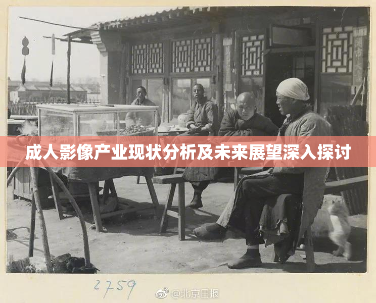 成人影像产业现状分析及未来展望深入探讨