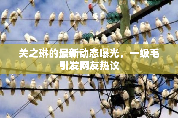 关之琳的最新动态曝光，一级毛引发网友热议