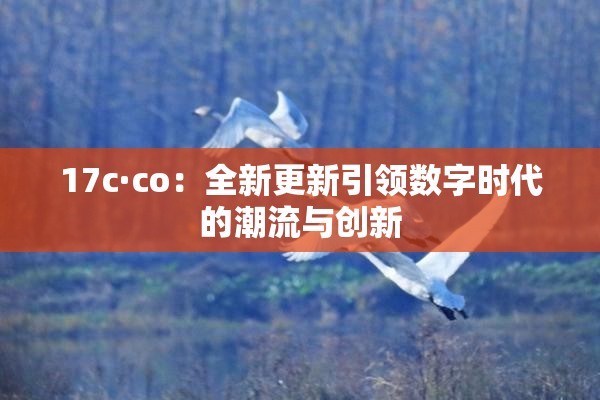 17c·co：全新更新引领数字时代的潮流与创新