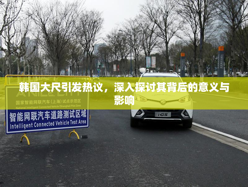 韩国大尺引发热议，深入探讨其背后的意义与影响