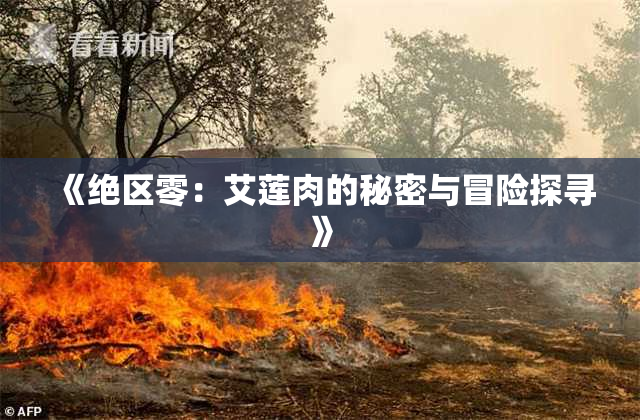 《绝区零：艾莲肉的秘密与冒险探寻》