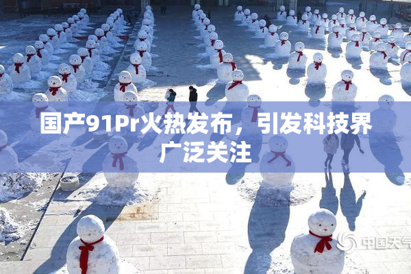 国产91Pr火热发布，引发科技界广泛关注