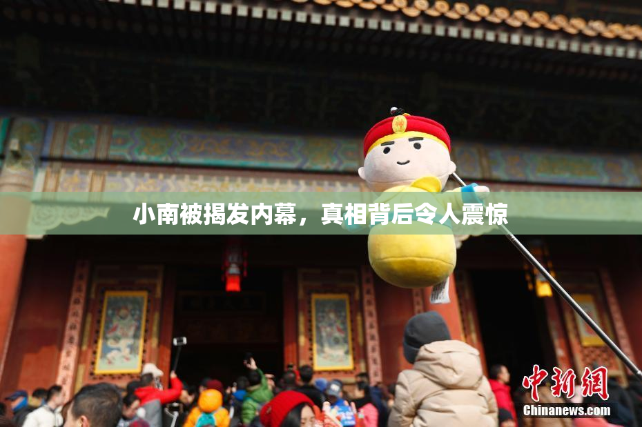 小南被揭发内幕，真相背后令人震惊