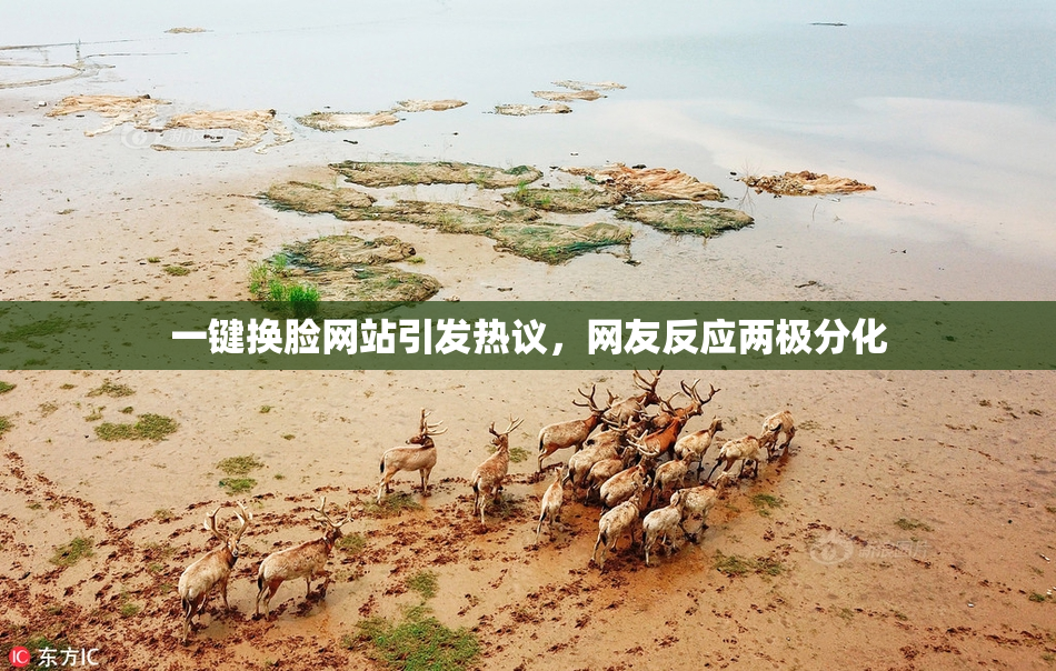 一键换脸网站引发热议，网友反应两极分化